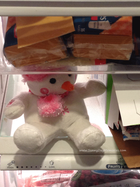 Snowman in the fridge