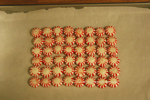 Rectangle Peppermint Platter