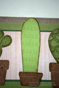 Paper Fundamentals Cactus