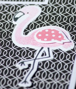 Closeup Tickled Pink Flamingo