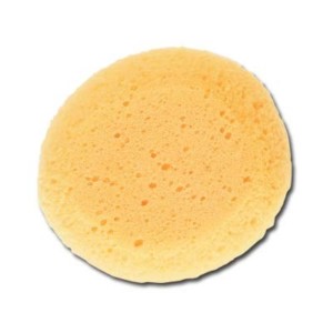 Round Sponge