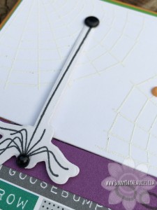 Closeup Cats & Bats Halloween Card