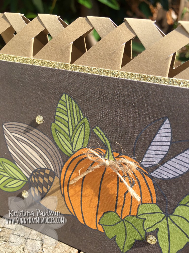 Closeup Pumpkin Lattice Card