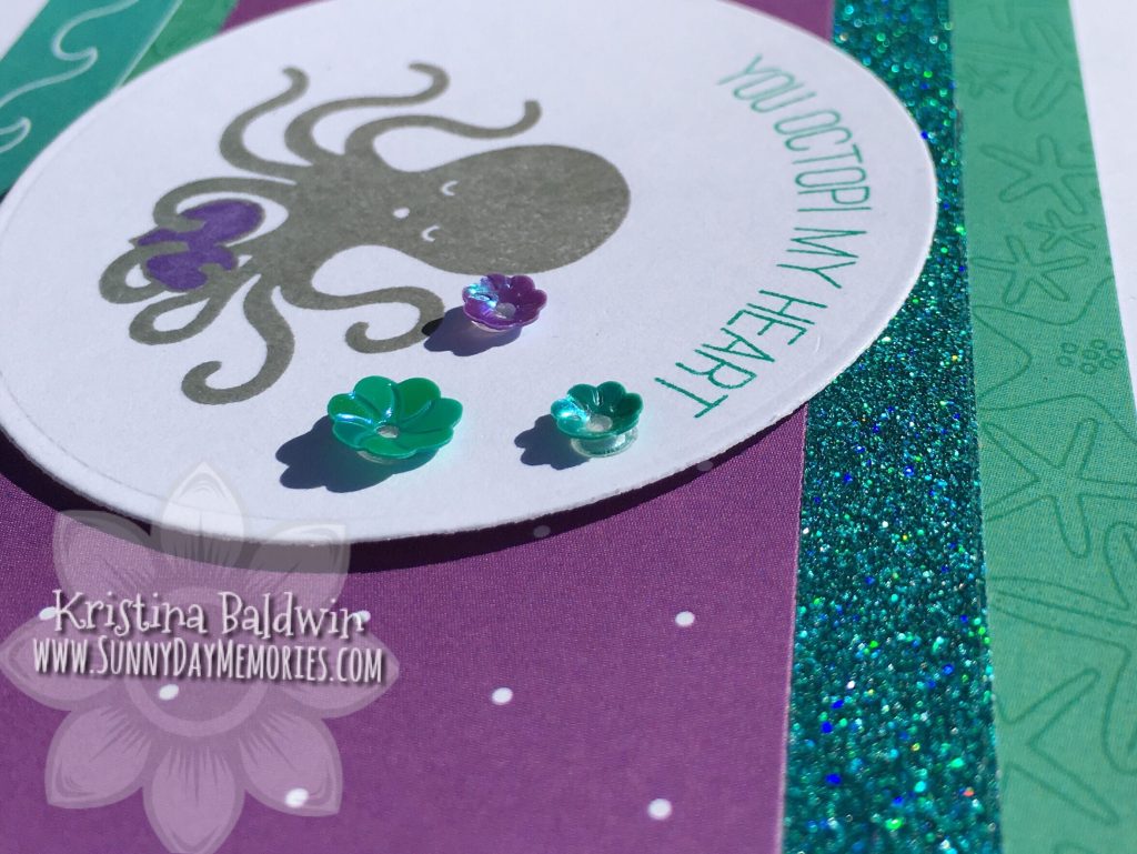 Close-up Octopi Card