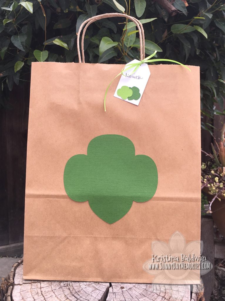 Girl Scout Gift Bag