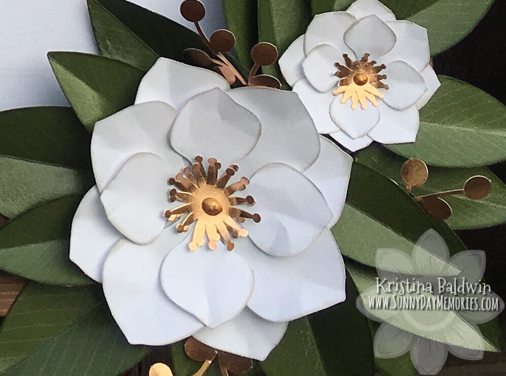 Closeup of Magnolia cluster