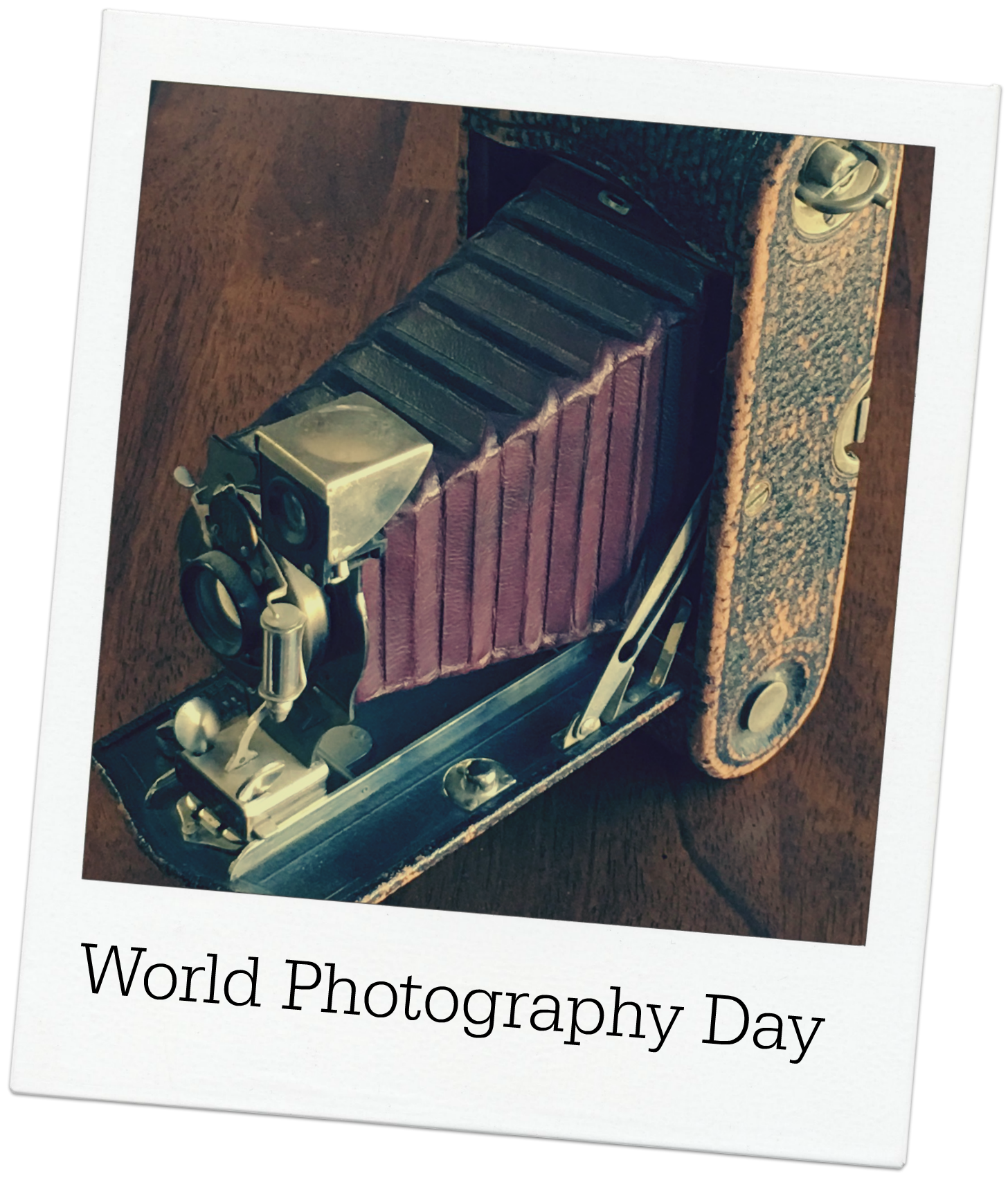 World Photography Day