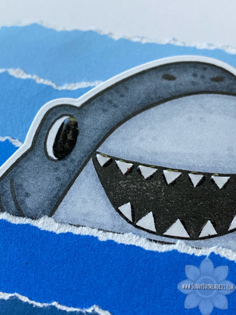 You're Jawsome Shark Card Closeup