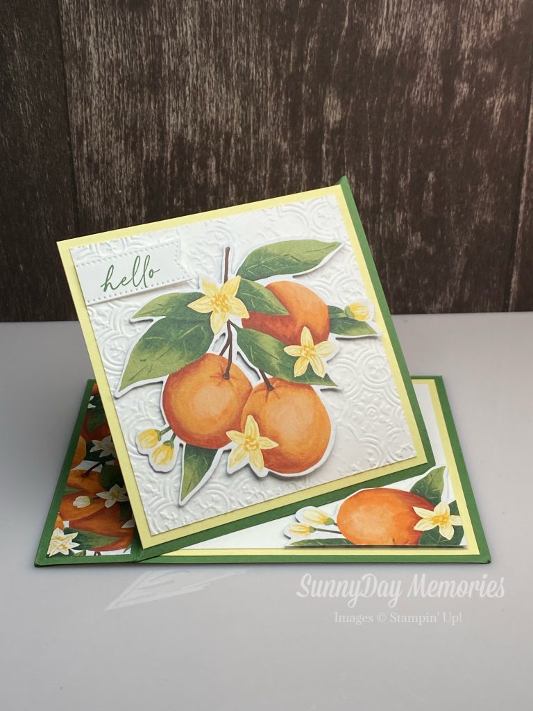 Stampin' Up Citrus Easel  Fun Fold Card Swap 