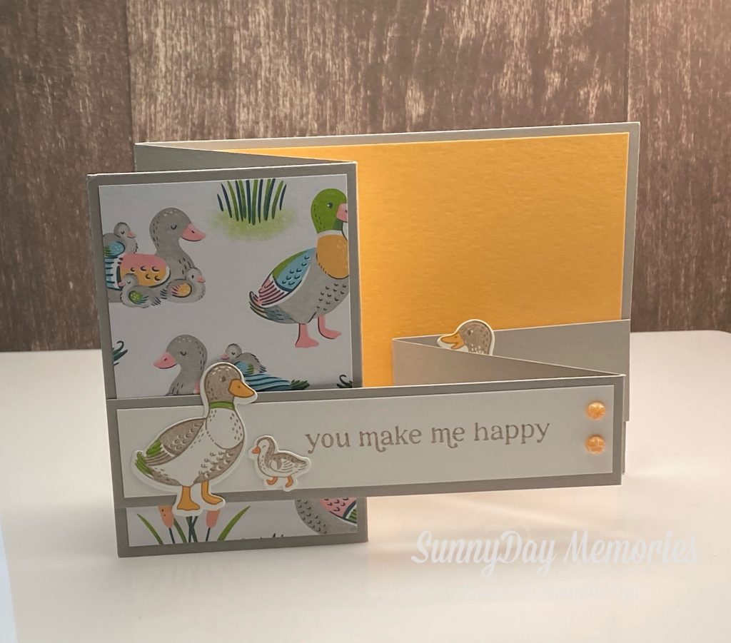 Stampin' Up Z Fold Fun Fold demonstrator swap