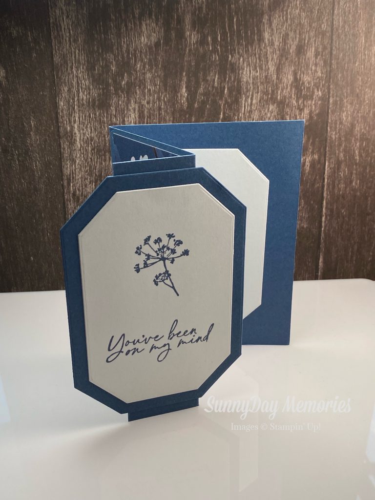 Stampin' Up Die-cut Fun Fold demonstrator swap